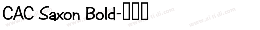CAC Saxon Bold字体转换
